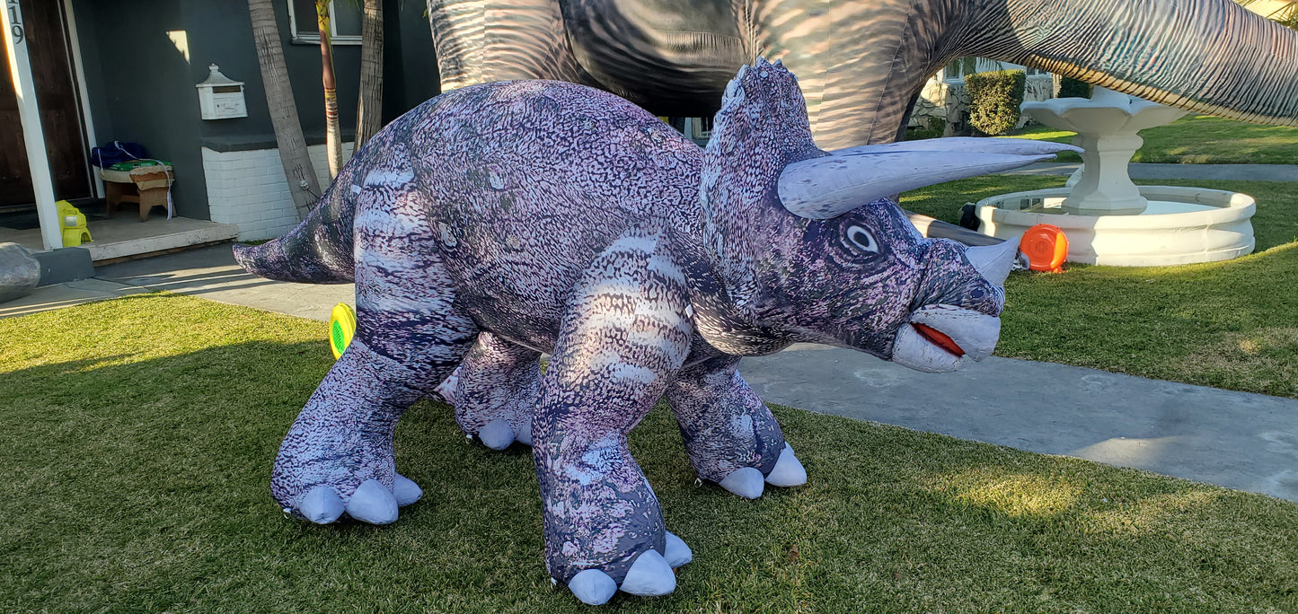 Inflatable Baby Triceratops Dino Prop