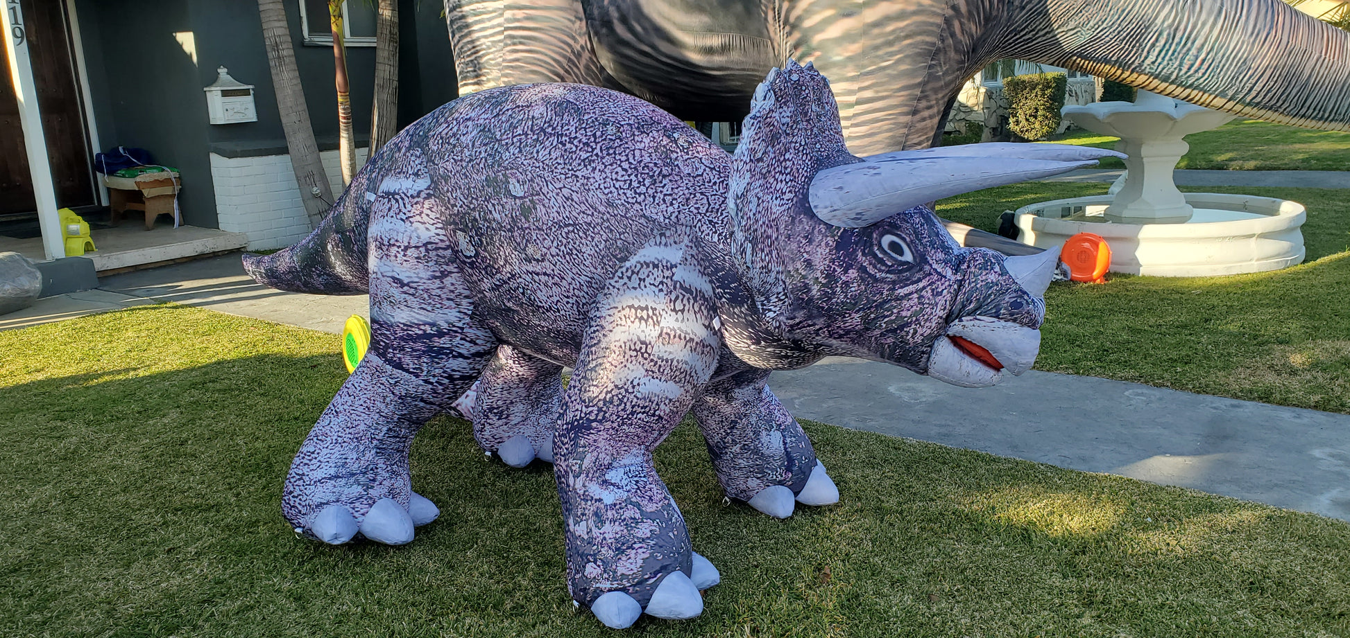 Inflatable Baby Triceratops Dino Prop