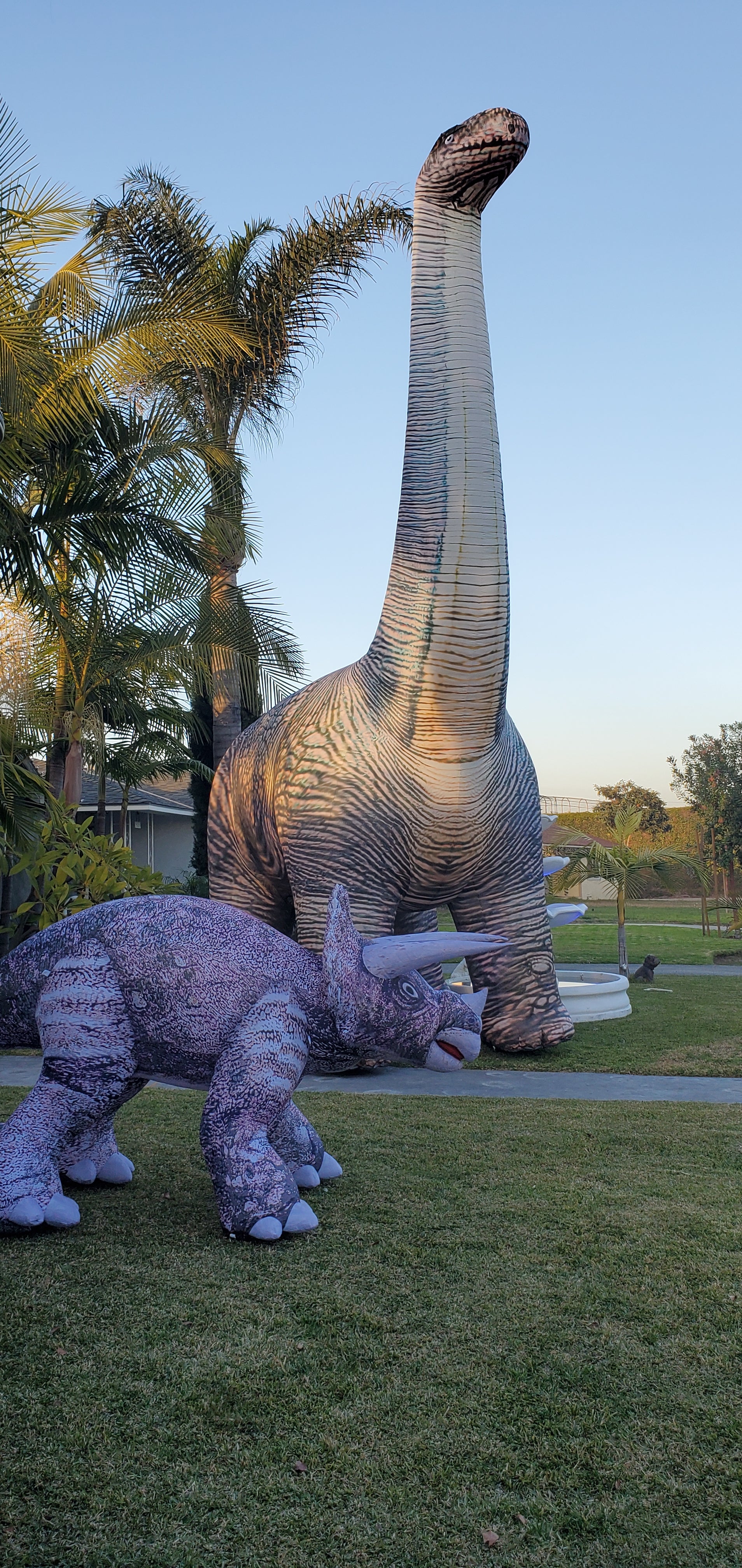 Long Neck and Triceratops Inflatable Dino Props 